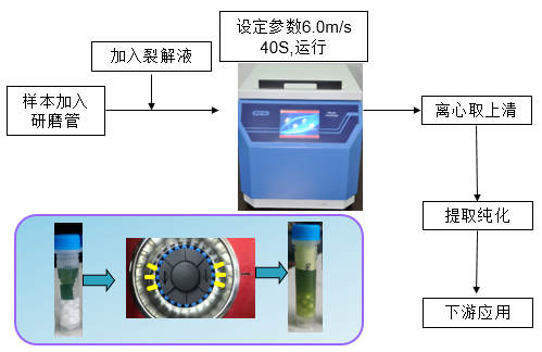 組織研磨儀哪家好
